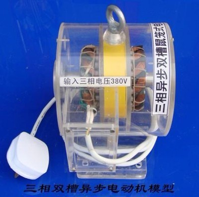 三（sān）相異步雙槽鼠（shǔ）籠式（shì）電動機模型