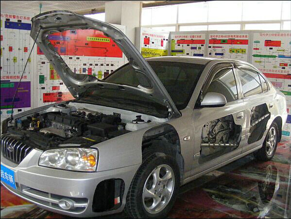 汽車整車解剖模型