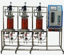多聯平行機械攪拌