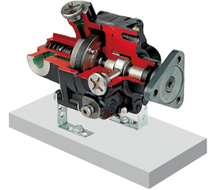 中高壓齒輪泵解剖